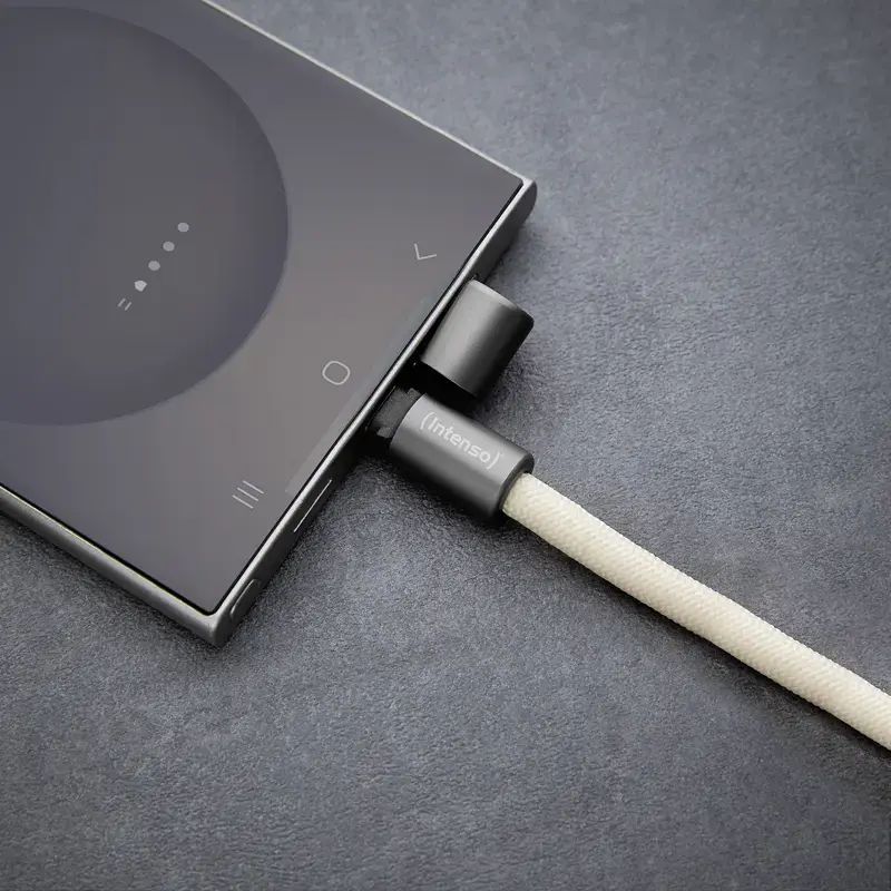 Καλώδιο USB Intenso αλυσίδα κινητού 1,65 m USB-C μπεζ