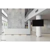 Βάση στήριξης TV Neomounts WL30S-910BL16 50 kg 40-75 inch