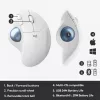 Ποντίκι Logitech ERGO M575 Wireless Trackball RF Wireless + Bluetooth
