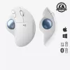 Ποντίκι Logitech ERGO M575 Wireless Trackball RF Wireless + Bluetooth