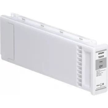 Epson ατομική συσκευασία γκρι T800900 UltraChrome PRO 700 ml