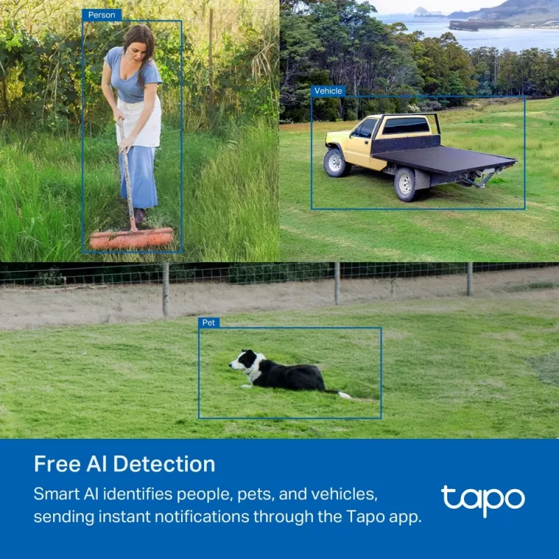 Κάμερα παρακολούθησης IP TP-Link TAPO C501GW 1920 x 1080 Pixel