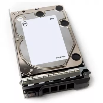 DELL 400-AEFB εσωτερικός σκληρός δίσκος 1 TB 7200 RPM 3,5 inch Serial ATA III