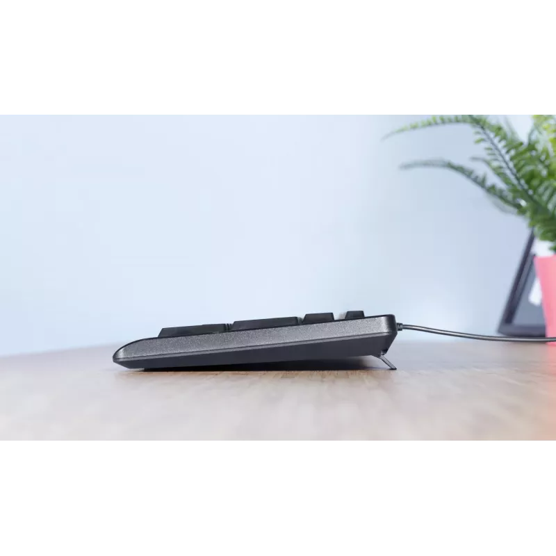 Trust TK-150 Πληκτρολόγιο Γραφείου USB QWERTZ Γερμανικό Μαύρο
