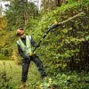 Τηλεσκοπικός κόφτης θάμνων DeWALT DCMPH566N-XJ