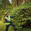 Τηλεσκοπικός κόφτης θάμνων DeWALT DCMPH566N-XJ