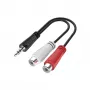 Hama 00200350 στερεοφωνικός προσαρμογέας ήχου jack 3,5 mm (αρσ.) σε 2x RCA (θηλ.), 0,15 m, μαύρος