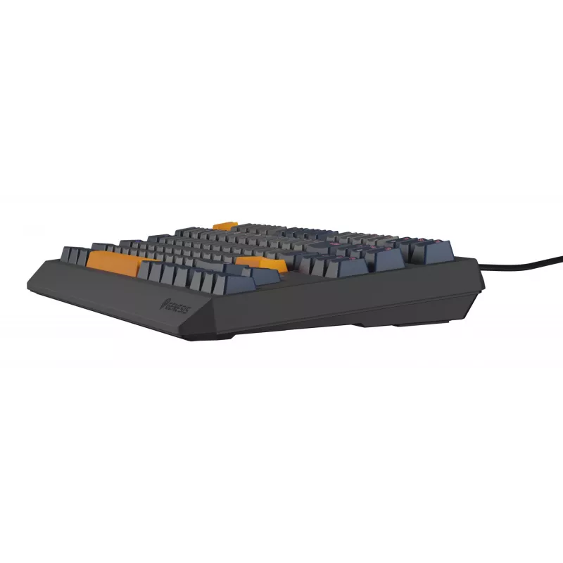 GENESIS Thor 230 TKL πληκτρολόγιο Gaming USB QWERTY αγγλικό μπλε