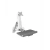 ICY BOX IB-MS600-W 61 cm (24 ίντσες) Βάση τοίχου Γκρι, Ασημί, Λευκό