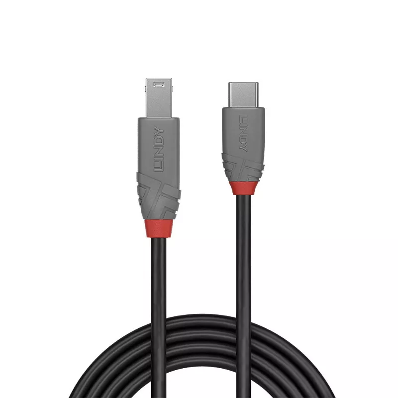 Lindy 2m καλώδιο USB 3.2 Type-C σε B, Anthra Line