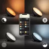 Έξυπνη επιτραπέζια λάμπα Philips Hue White and Colour Ambience Bloom