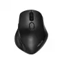 ASUS MW203 Ποντίκι Γραφείου Δεξί RF Wireless + Bluetooth Οπτικό 2400 DPI