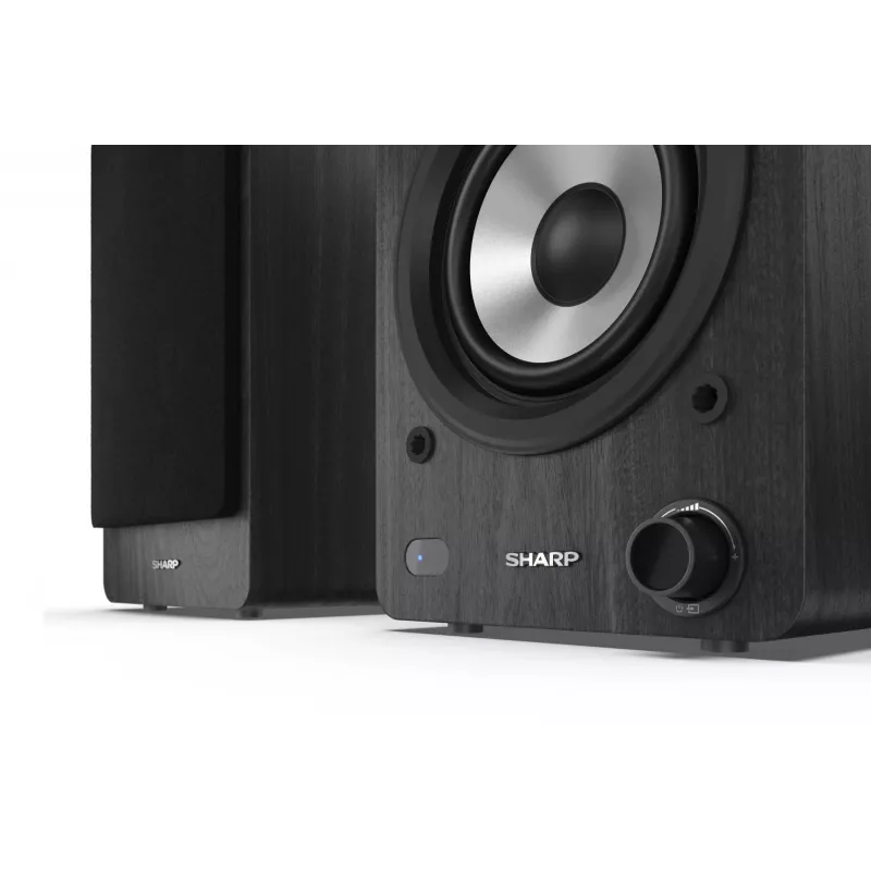 Ηχείο ραφιού Sharp CP-SS30 – μαύρο