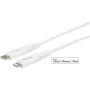 Καλώδιο Lightning eSTUFF ES602021 0,5 m USB-C Λευκό