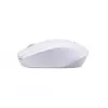 Ποντίκι Acer M501 RF Wireless Optical