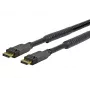 Vivolink PRODPAM20 Καλώδιο DisplayPort 20 m μαύρο