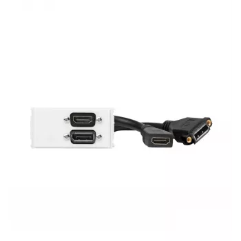 Vivolink WI221267 πρίζα HDMI + DisplayPort λευκή