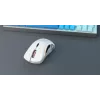 Glorious Gaming Glorious Model D Wireless - Ματ λευκό, Δεξιόχειρας, RF Wireless, 19000 DPI, Λευκό