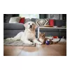 Philips PowerPro Expert Σκούπα χωρίς σακούλα FC9729/09