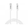 Καλώδιο Sandberg USB-C PD σε Lightning MFI 1M 1m Lightning USB C
