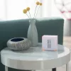 Έξυπνος θερμοστάτης Netatmo NTH01-EN-EU