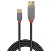 Lindy 0,15 m Καλώδιο προσαρμογέα USB 3.2 Type-C σε A, 10 Gbit/s, Anthra Line