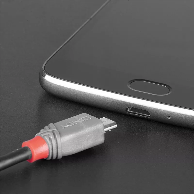 Lindy 1m καλώδιο USB 2.0 Type-C σε Micro-B, Anthra Line