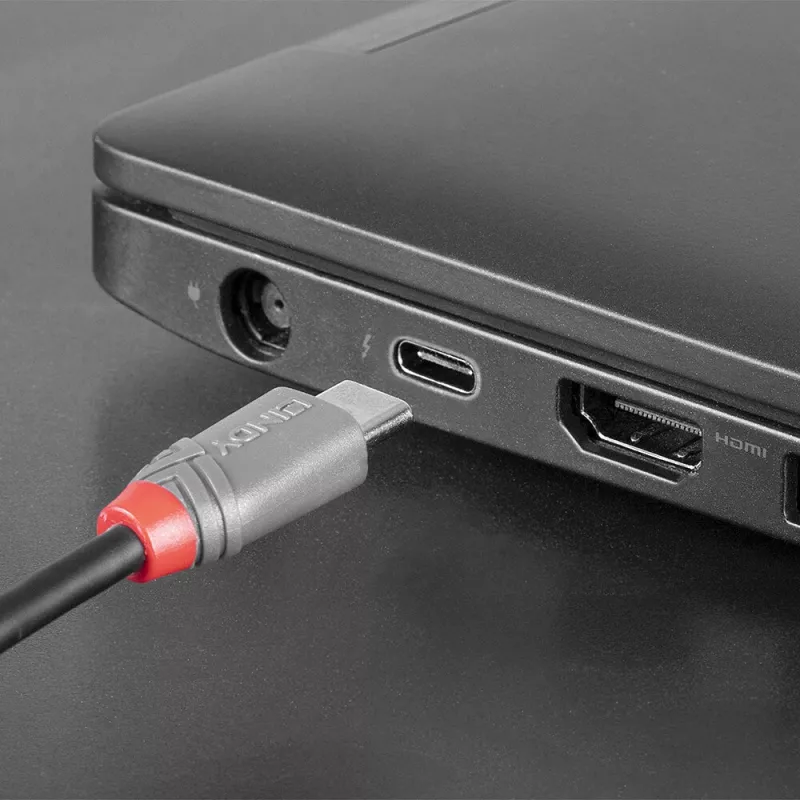 Lindy 1m καλώδιο USB 2.0 Type-C σε Micro-B, Anthra Line