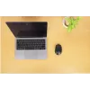 Ασύρματο ποντίκι Manhattan MW6020 USB