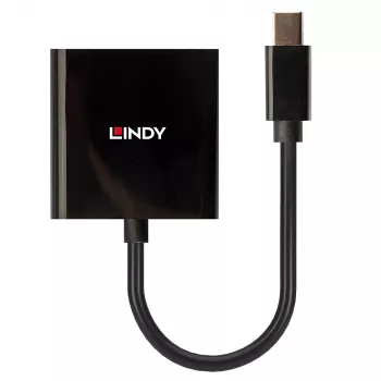 Lindy Mini DisplayPort σε DVI ενεργός μετατροπέας 0,16 m μαύρο