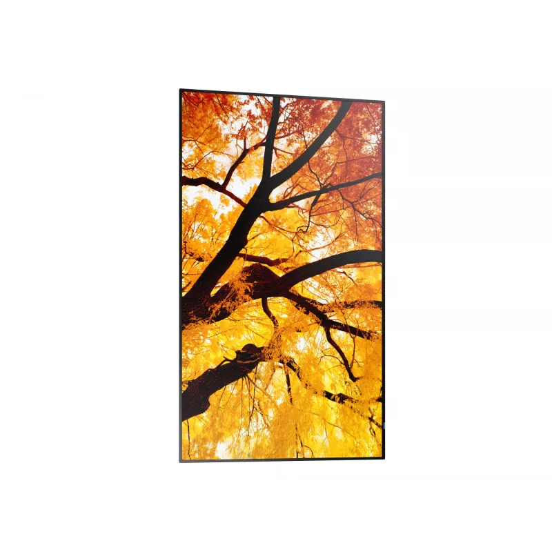 Sharp MultiSync M502 Digital Signage επίπεδη οθόνη 127 cm (50 ιντσών) LCD 550 cd/m² 4K Ultra HD μαύρο 24/7