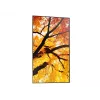 Sharp MultiSync PN-M752 189,2 cm (74,5 inch) LED 550 cd/m² 4K Ultra HD μαύρο 24/7