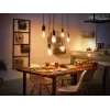Philips Hue White E27 έξυπνος λαμπτήρας με νήμα, 550 lm