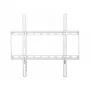 Techly ICA-PLB-162MW Βάση τοίχου TV 139,7 cm (55 ίντσες) Λευκό