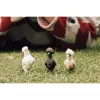 Φιγούρες παιχνιδιού Schleich FARM WORLD Hühnerfreunde Πολύχρωμο 42574
