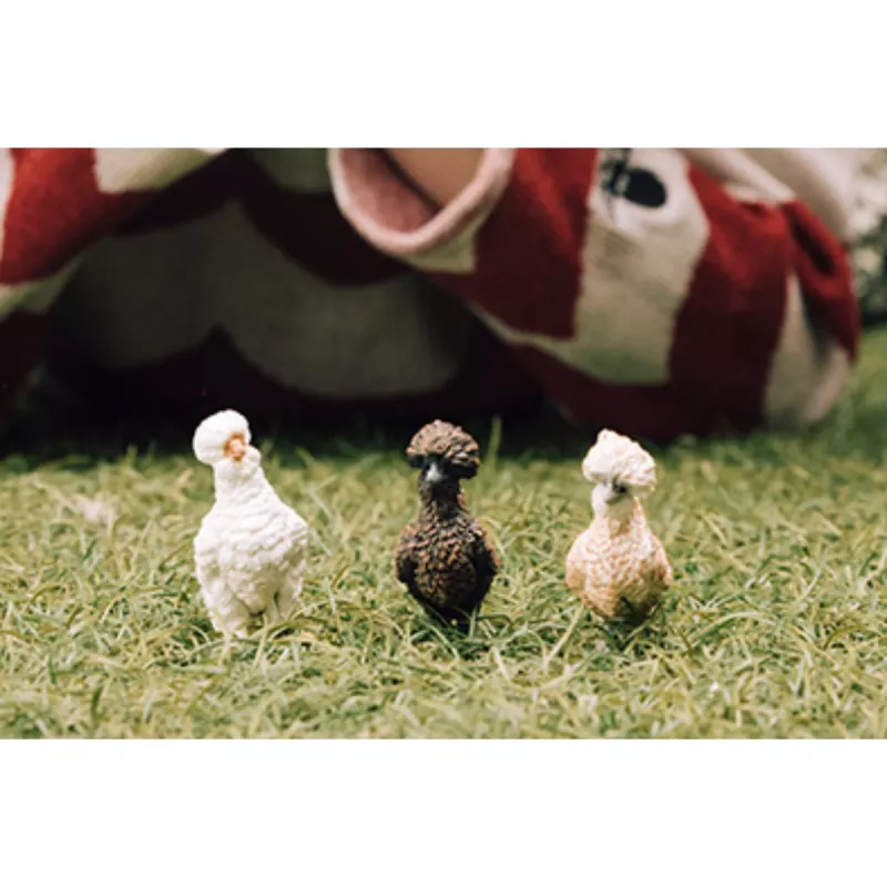 Φιγούρες παιχνιδιού Schleich FARM WORLD Hühnerfreunde Πολύχρωμο 42574