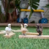Φιγούρες παιχνιδιού Schleich FARM WORLD Hühnerfreunde Πολύχρωμο 42574