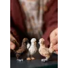 Φιγούρες παιχνιδιού Schleich FARM WORLD Hühnerfreunde Πολύχρωμο 42574