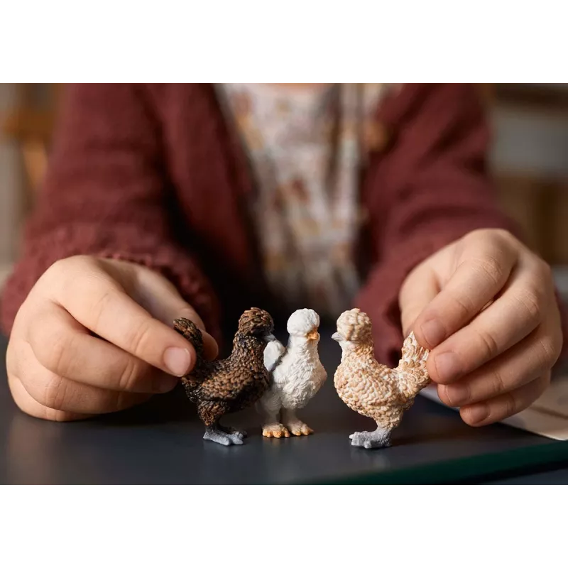 Φιγούρες παιχνιδιού Schleich FARM WORLD Hühnerfreunde Πολύχρωμο 42574