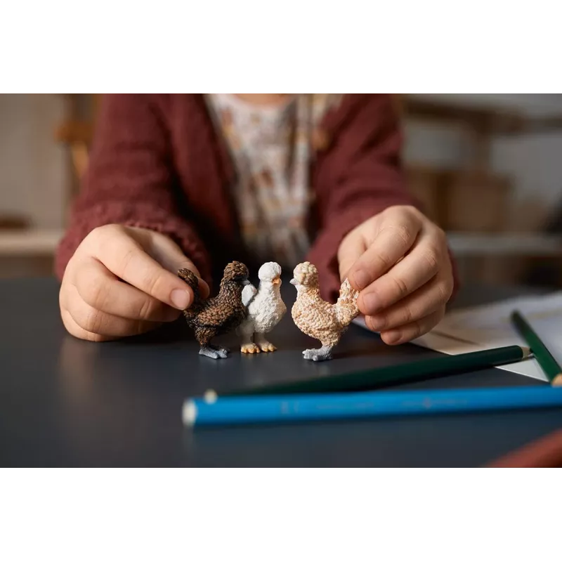 Φιγούρες παιχνιδιού Schleich FARM WORLD Hühnerfreunde Πολύχρωμο 42574