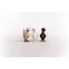 Φιγούρες παιχνιδιού Schleich FARM WORLD Hühnerfreunde Πολύχρωμο 42574