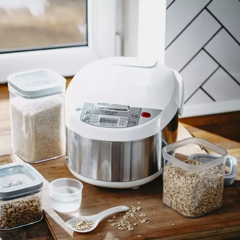 Multi-cooker Adler AD 6420 — 700 W, χωρητικότητα 3,25 L, 6 προγραμματιζόμενα προγράμματα, ένδειξη LED