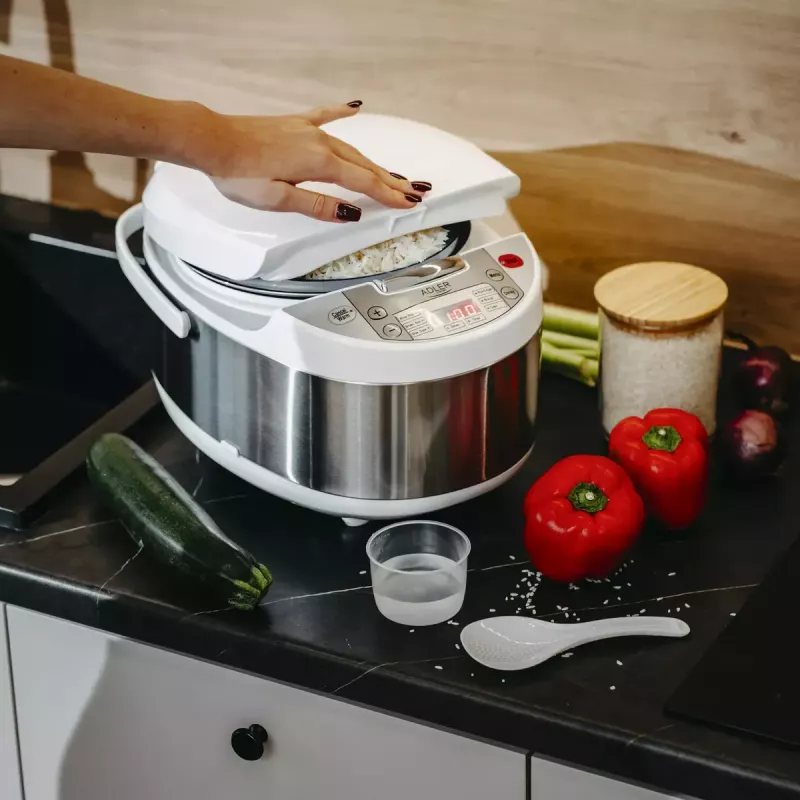 Multi-cooker Adler AD 6420 — 700 W, χωρητικότητα 3,25 L, 6 προγραμματιζόμενα προγράμματα, ένδειξη LED
