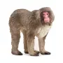 Φιγούρα Schleich WILD LIFE Ιαπωνικός μακάκος Μπεζ Καφέ Ροζ 14871