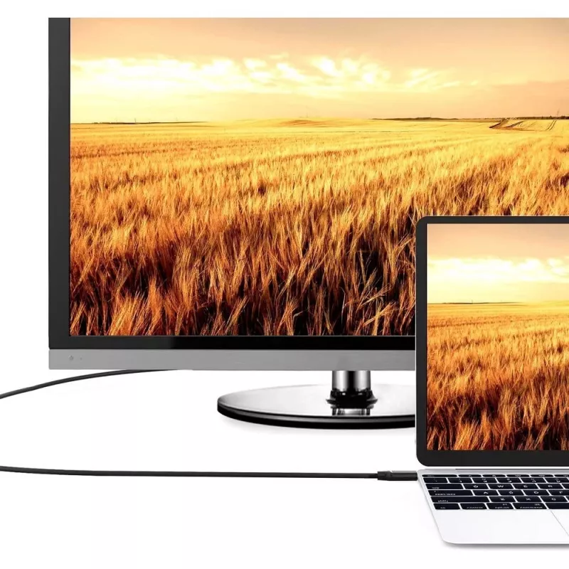 Techly ICOC HDMI-4-100NE Καλώδιο HDMI 10 m HDMI Type-A (Standard) Μαύρο
