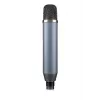 Μικρόφωνο στούντιο Blue Microphones Ember