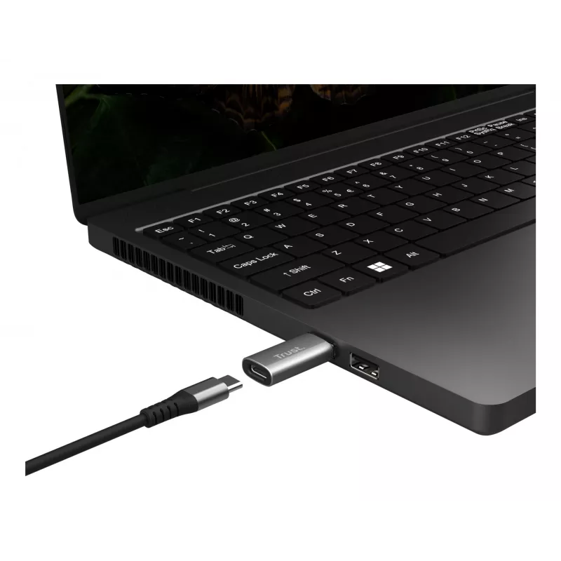 Trust Calyx USB Type-C USB Type-A γκρι θύρα 1 USB Type-C θύρα 2 USB Type-A