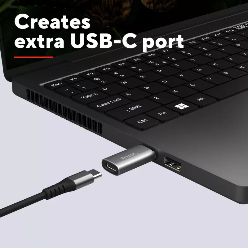 Trust Calyx USB Type-C USB Type-A γκρι θύρα 1 USB Type-C θύρα 2 USB Type-A