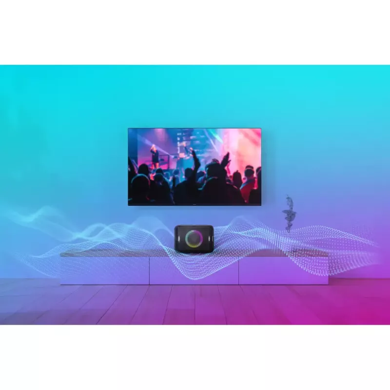 Φορητό στερεοφωνικό ηχείο Panasonic SC-BMAX5E-K μαύρο