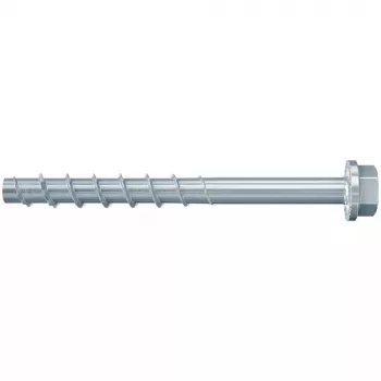 Βίδα Fischer 536855 100 mm